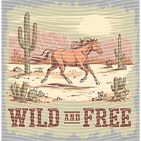 Country music-CM-343